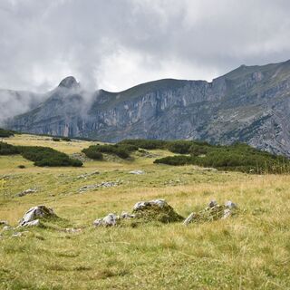 Roßwies - Blick auf den Sagzahn und die Rofanspitze