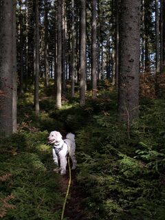 Foto fra Florian H. 2 undervejs på turen