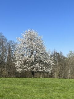 Fotografia z Václav Stejskal na trase