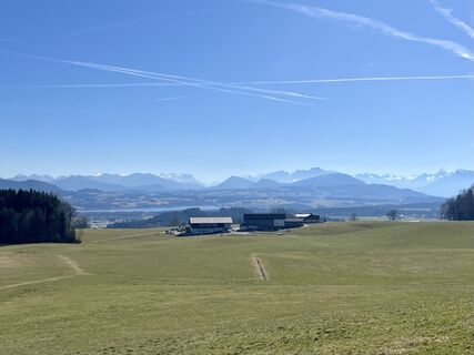 Fotografia z Peter Steyrer na trase