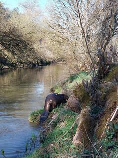 Foto da Sabrina Hackel lungo il tour