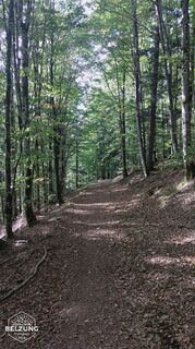 Photo de Jacky belzung le long du parcours