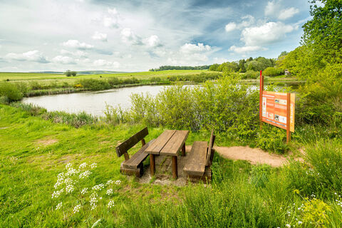 et-2019-370-vulcanpfad-eichholzmaar-eifel-tourismus-gmbh-dominik-ketz_1