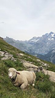 Foto de Franziska a lo largo del recorrido