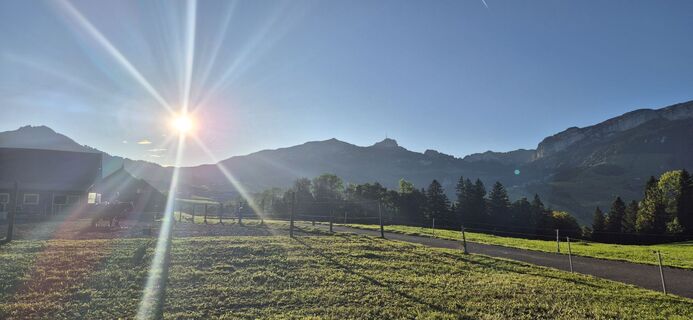 Foto von Markus Baumgartner 10 entlang der Tour