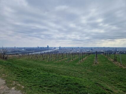 Foto von Adam Wehsely-Swiczinsky entlang der Tour