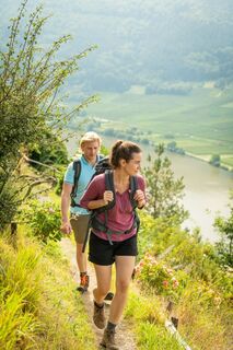 Wandern auf dem Moselsteig nach Mehring