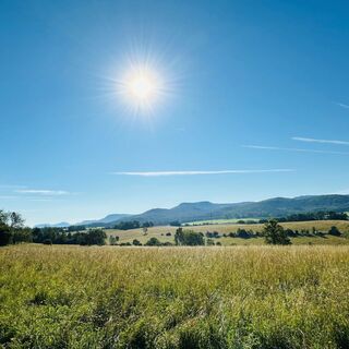 Aussicht am Fichtenwald