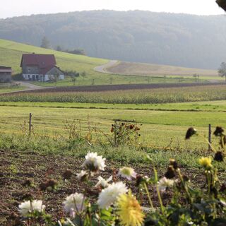 Ausblick auf die Wiesen und Felder