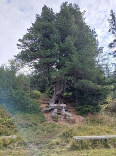 Photo de Sebastianhaselsteiner9 le long du parcours