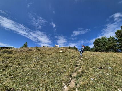 Fotografija s spletne strani Susann Herfurth na poti