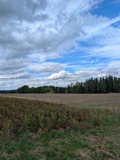 Foto de Marko Xxx a lo largo del recorrido