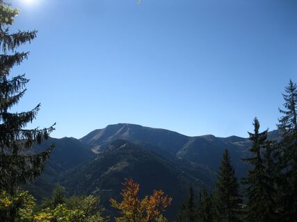 Lugauer