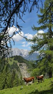 Photo de H. Rix le long du parcours