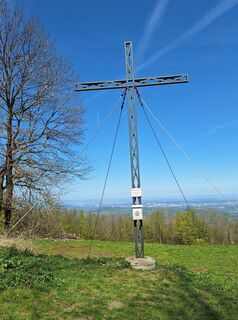 Fotografija s spletne strani Mimi na poti