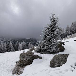 Fotografia z Daniele Da Rio na trase