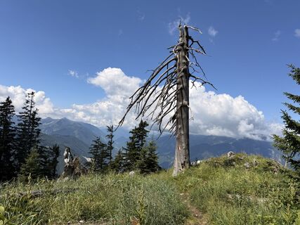 Fotografia z Natur_erleben_dg na trase