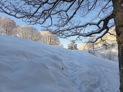 Foto de GerhardAho a lo largo del recorrido
