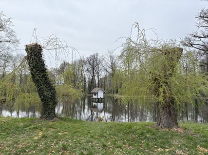 Foto de Richard Vlcek a lo largo del recorrido