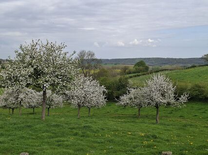 Photo de Yolanda de le long du parcours