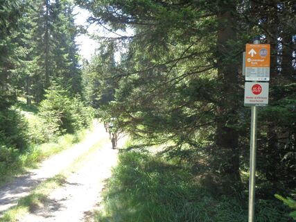Route 60 - Wexl Trails