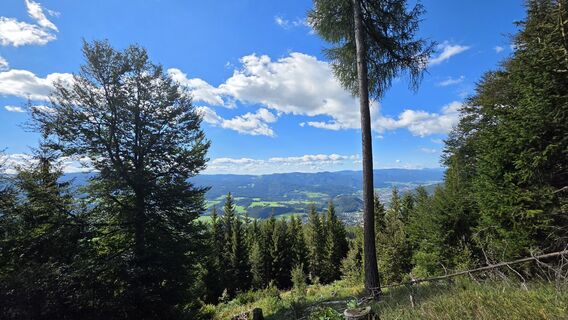 Fotografija s spletne strani EP87 na poti