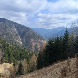 Foto von Sanel Mehurovic entlang der Tour