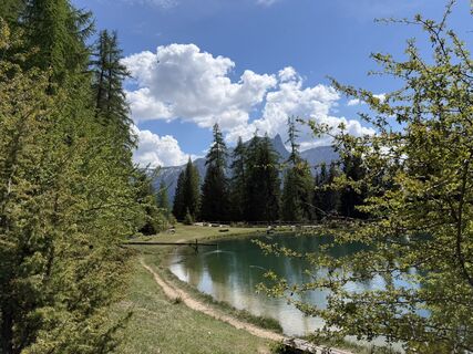 Foto von Sabine Curt entlang der Tour