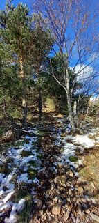 Fotografija s spletne strani Jerome jourda na poti