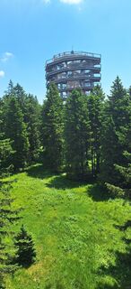 Fotografia z Zdravko Babič na trase