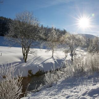 Das Buhlbachtal im Winter
