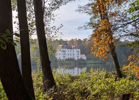 Foto von schwanst entlang der Tour