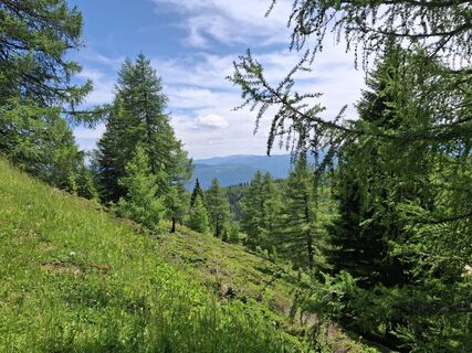 Foto von Victor Chyzh entlang der Tour