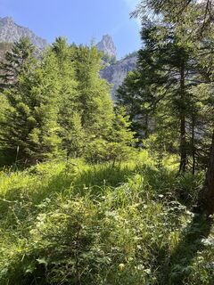 Fotografia z Erich Galander na trase