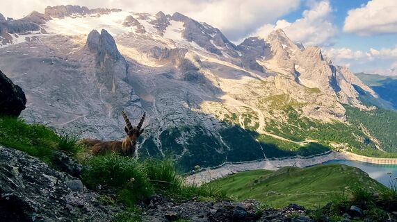 Fotografija s spletne strani Silvia Pontecorvi na poti