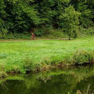 Schön am Fluss entlang führt der Radweg zwischen Pforzheim und Unterreichenbach