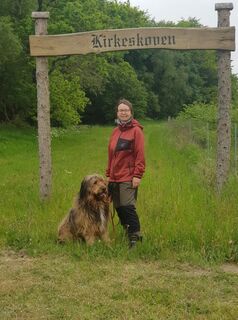Fotó a Rotti Horrolt honlapról a túra során