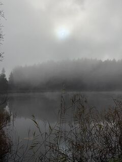 Foto von weichbo entlang der Tour