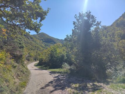 Fotografia z ulibueck na trase