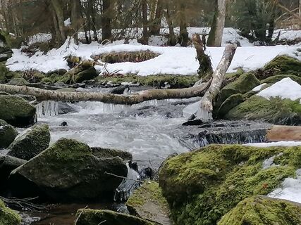 Foto von Wanderfux entlang der Tour