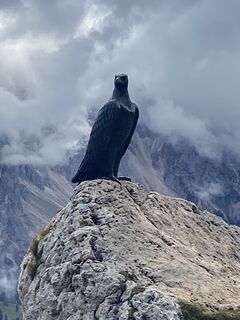 Foto från Peter Waltriny under resans gång