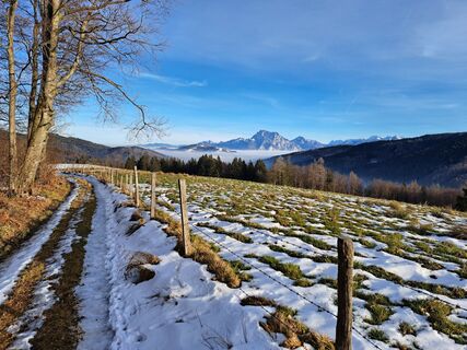 Fotografia z Rudi na trase