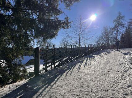 Photo de martina hornik le long du parcours