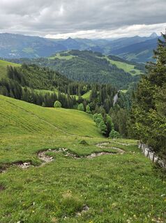 Foto från Sven under resans gång