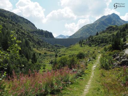 A063 Alpen