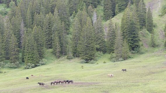 Foto von Supertschänn entlang der Tour