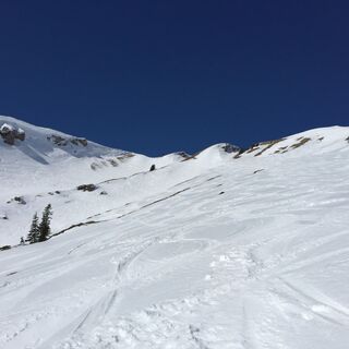 Abfahrt vom Hochgratgipfel