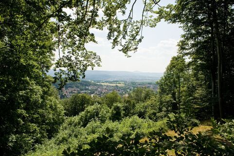 Blick auf Bad Liebenstein