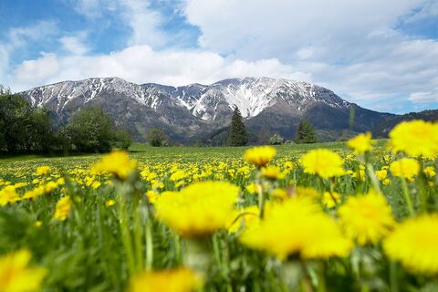 Blick auf den Schneeberg