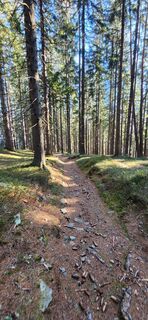 Foto von Nora entlang der Tour